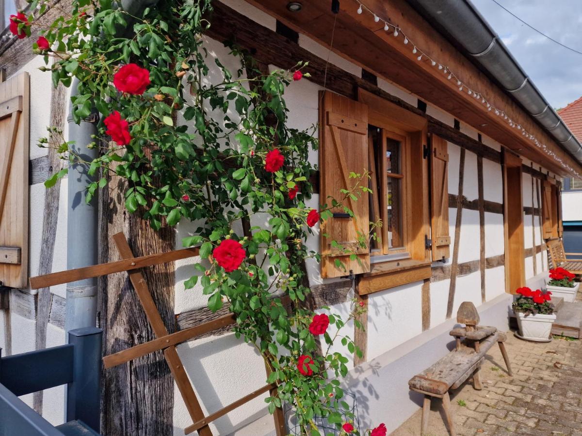 Une Maison A Colombages - Cosy, Lumineuse Et Sauna Kesseldorf المظهر الخارجي الصورة
